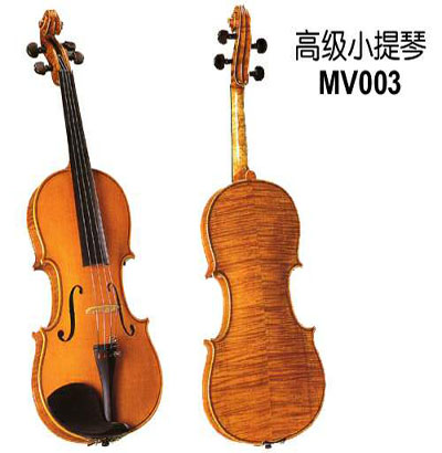广州珠江钢琴集团有限公司提琴厂